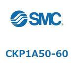 CKP1A SMC