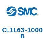 CL1L6 SMC