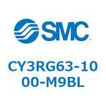 CY3RG6 SMC