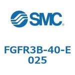 バッグフィルタ FGFR3 SMC