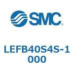 LEFB4 SMC