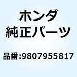 9807955817 プラグ スパーク (BPR5 9807955817 ホンダ