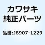 J8907-1229 J8907-1229 Kawasaki
