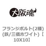 10X10 フランジボルト(2種)(鉄/三価ホワイト) 大阪魂
