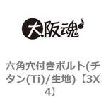 六角穴付きボルト(チタン(Ti)/生地) 大阪魂