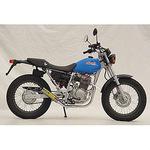 マフラー 250 Single RPM