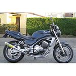 マフラー RPM-4in2in1 RPM