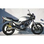 マフラー RPM-4in2in1 RPM