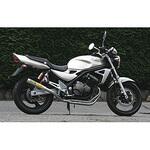 マフラー RPM-67Racing RPM