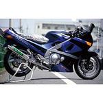 マフラー RPM  DUAL RPM