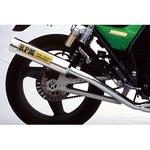 マフラー RPM-4in2in1 RPM