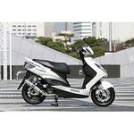 マフラー 80D-RAPTOR RPM