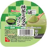091297 63g やさしくラクケア 抹茶ミルク味プリン ハウスギャバン