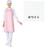 パステックエプロン ワコウ