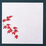 グルメ敷紙 紅葉 用美(ヤマコー)