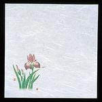 新・濡れ奉書紙 菖蒲 用美(ヤマコー)