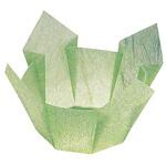 両面 OP珍味入れ 若草雲竜 用美(ヤマコー)