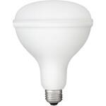 LED投光器 交換電球 【20000時間】 アイリスオーヤマ