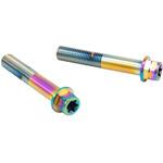 CMBF-060T ステンレスキャリパーマウントボルト チタン色 CMBF-060T プロトブレンボ