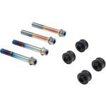 CBK-03AFT オフセットカラーマウントボルトセット 適合キャリパーA フランジ六角 チタン色 CBK-03AFT プロトブレンボ