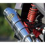 PURESPORT  S  ゴールドエンブレム SUS SP忠男