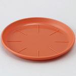 浅皿AP アップルウェアー