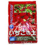 いちごの土 プロトリーフ