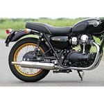 ワイバンクラシックW800ヒートーガードモデル アールズギア