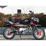 タイプ2 アップ UP モンキー STRIKER
