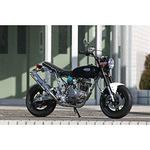 ダウンマフラーB APE100 STRIKER