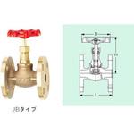 グローブバルブ 25a 10k