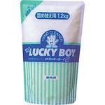 ラッキーボーイさま専用 ラッキーボーイS21 1袋(1.2kg) 旭化成 【通販モノタロウ】