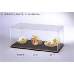 動物の頭骨標本シリーズ ナリカ 動物の頭骨標本シリーズ ナリカ