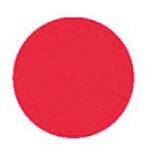 日本国旗 横浜ディスプレイミュージアム 日本国旗 横浜ディスプレイミュージアム