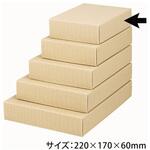 贈答箱 ナチュラル60 16シリーズ ヤマニパッケージ