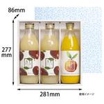 贈答箱 ビンボトル 50枚 EEシリーズ ヤマニパッケージ