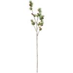 正陽苔付松 MAGIQ(東京堂) 正陽苔付松 MAGIQ(東京堂)