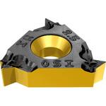 ねじ切りチップ IR/L-ISO イスカル