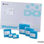 ガラス繊維ろ紙 GF/B Whatman(ワットマン)