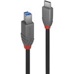 LINDY ANTHRA LINE USB3.2 Gen 1 Type-C to Type-Bケーブル LINDY LINDY ANTHRA LINE USB3.2 Gen 1 Type-C to Type-Bケーブル LINDY
