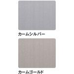 マグピタボード 3×8 ヘアライン ニチレイマグネット