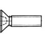 FNMS278 皿小ねじ4x20 D=8 20本入(BI-420) TOSTEM(LIXIL)