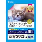 JP-ERV5NA4N-100 用紙 サンワサプライ