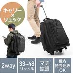キャリーケース サンワダイレクト