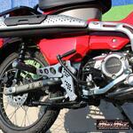 MR19-CT03-02 Mr Quick製 ホンダ CT125 ハンターカブ用 タンデムステップ チタン MAD MAX(マッドマックス)