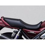 COZYシートベーシックカーボン DAYTONA(デイトナ)