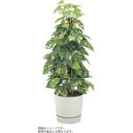 VWR-215 人工樹木カレン ポトス H600<配送時組立サービス付> イトーキ