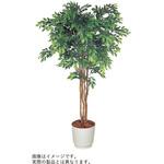 VWR-333 人工樹木カレン ケヤキ H1800<配送時組立サービス付> イトーキ
