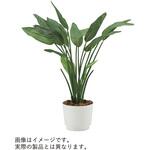 VWR-391 人工樹木カレン ストレチア シングル<配送時組立サービス付> イトーキ