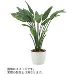 VWR-392 人工樹木カレン ストレチア ダブル<配送時組立サービス付> イトーキ